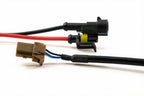 Morimoto Igniter Adapter: Matsu/Panasonic to AMP