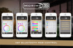 Morimoto RGBW Controller: XBT (1x5 / 2x4 Wire Universal Standard)