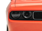 Photo - Close Up