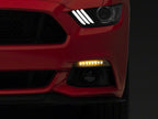 Photo - Close Up